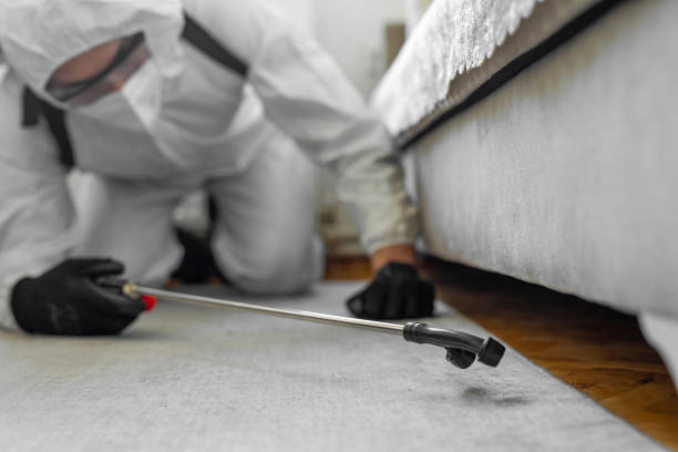 Professional Termite Control technician working in Tiffin, OH