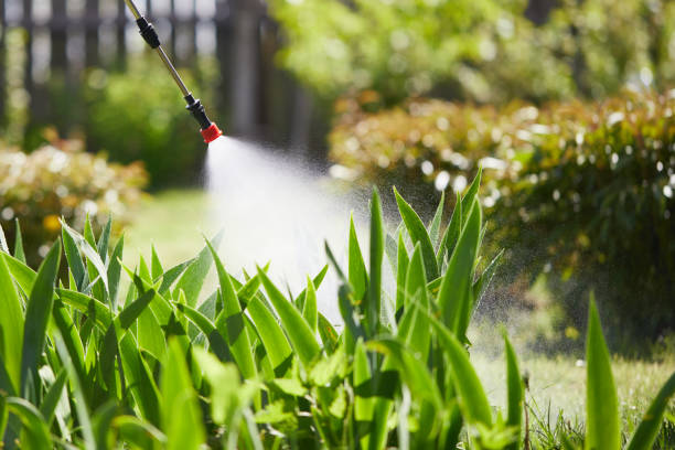 24/7 Emergency Termite Control experts in Tiffin, OH