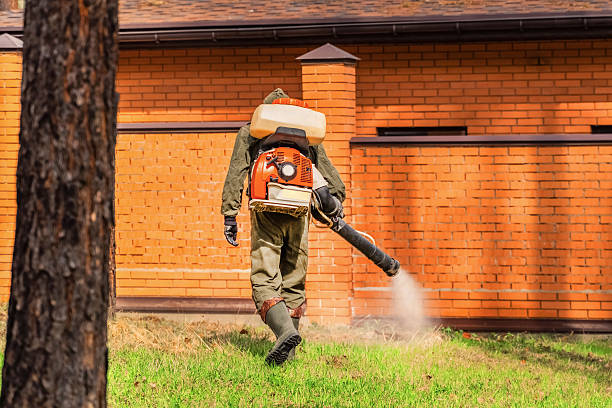 Trusted Ant Control service in Tiffin, OH - Nex Pest Control